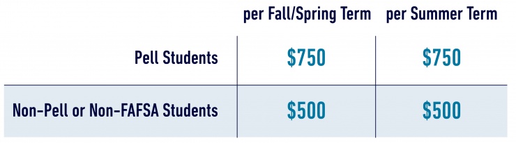 COVID Impact Grant chart